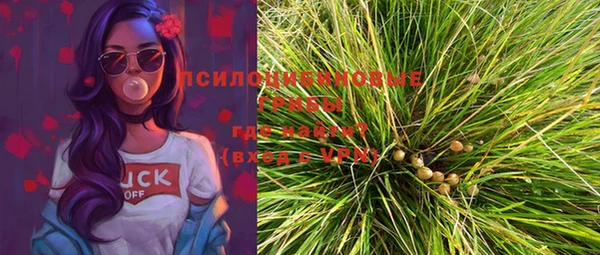 ешки Бугульма