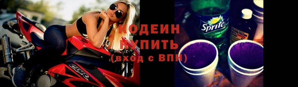 дживик Бородино