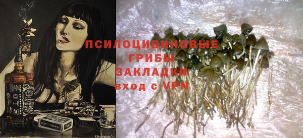 ешки Бугульма