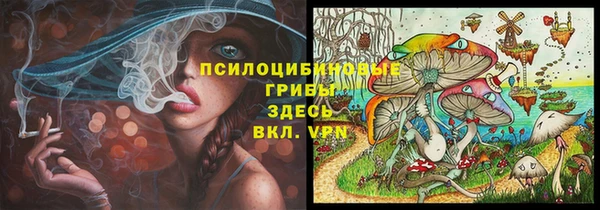дживик Бородино