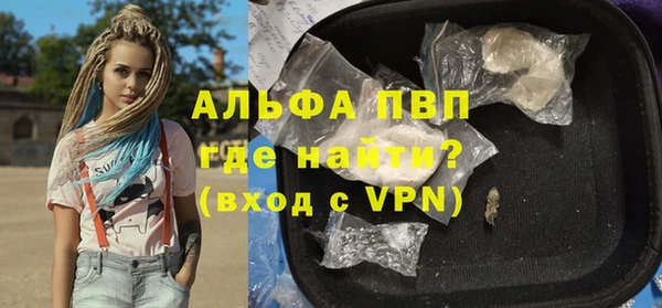 дживик Бородино