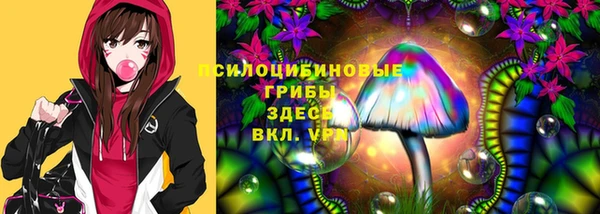 прущий лед Бронницы