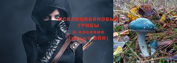 прущий лед Бронницы